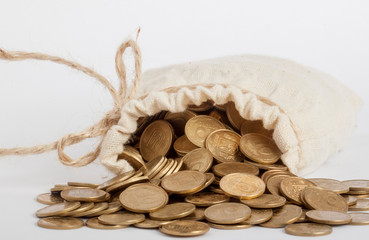 bag with coins