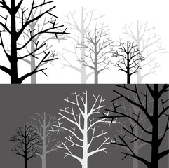 Forest in two Monotone