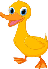 Cute duck cartoon