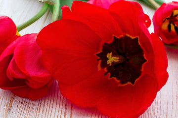 Red tulips on wooden background