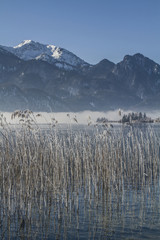 Ein Wintermorgen am Kochelsee