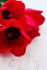 Macro bouquet of red tulips on wooden background. Selective focus