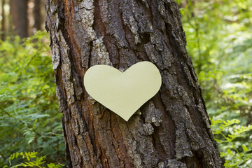 Paper heart on a tree