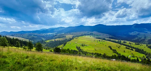 Photo sur Plexiglas Été Carpathian mountains