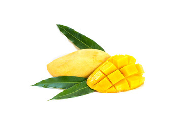 Yellow mango isolated