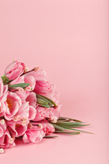 Fototapeta premium bouquet of pink tulips on pink background