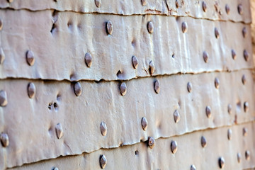 detail of medieval gate door