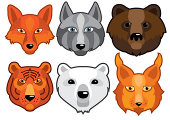 wild animals head predators