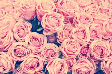 instagram vintage retro rosen gefiltert nostalgie