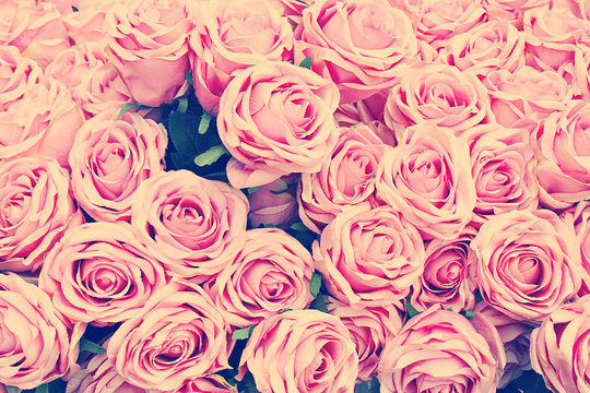 instagram vintage retro rosen gefiltert nostalgie