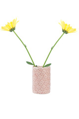 Isolated yellow flower in ceramic vase