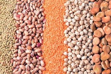 various types of legumes lentil beans Peas vegetable