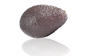 Avocado fruit on white