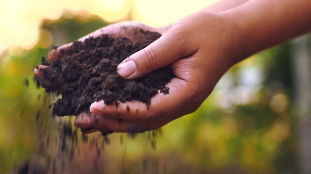 Hands pouring organic soil with sunrise slow motion