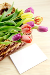Springtime decoration with tulips and white note paper copy spac