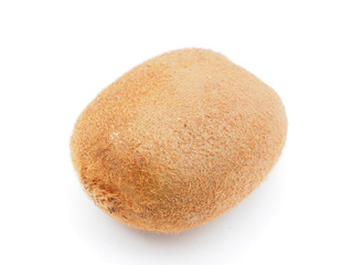 kiwi on white background