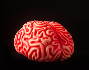 Human rubber brain