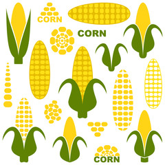 Corn