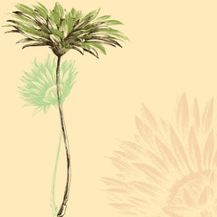 Beautiful vector floral background