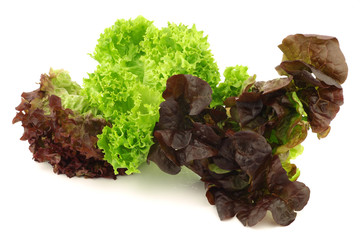 assorted lettuce on a white background