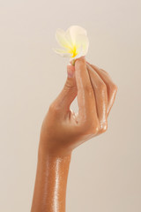 Close-up of female hand in oil holding flower on beige
