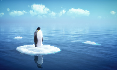 single penguin on a piece of ice - obrazy, fototapety, plakaty