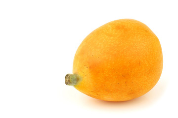 kumquats(Citrus japonica) on a white background