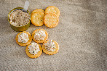 Cracker with tuna spread