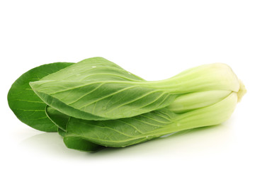 fresh chinese paksoi on a white background