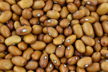 background of brown beans