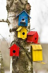 Bird houses