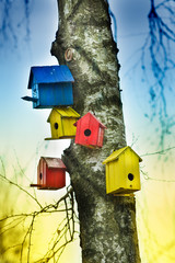 Bird houses