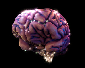 brain depiction