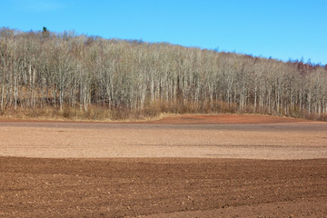 Fototapeta na wymiar Harrowed field at spring