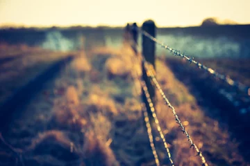 Photo sur Plexiglas Printemps early spring meadow with barbed wire fence at sunset