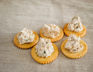 Cracker with tuna spread