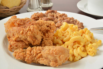 Chicken dinner closeup