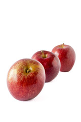Red apples on a white background