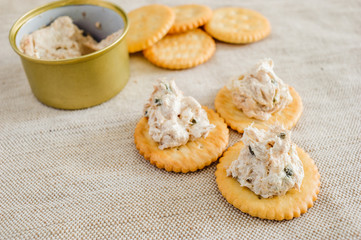Cracker with tuna spread