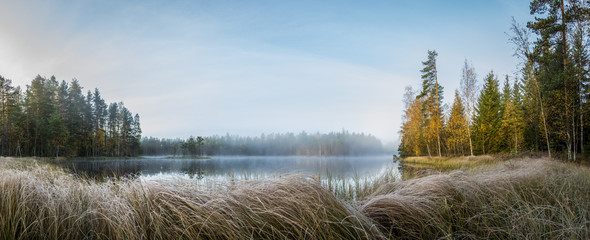 Foggy forest lake