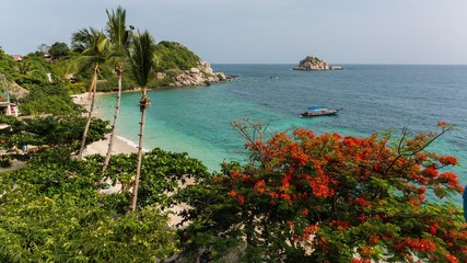 beach on ko tao thailand