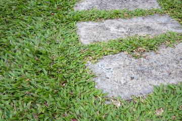 Garden stone nature, pathway in garden