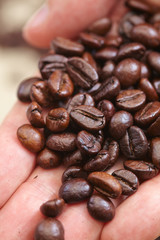 coffee beans