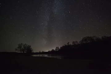 Deurstickers een prachtige nachtelijke hemel, de Melkweg en de bomen © snike