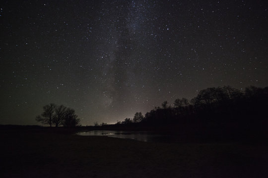 a beautiful night sky, the Milky Way and the trees