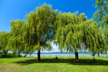 Lake Balaton in Hungary in summer