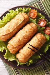 spring rolls fried on lettuce with tomatoes vertical, top view
