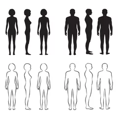 Foto op Plexiglas menselijk lichaam anatomie, front vector man, vrouw silhouet © eveleen007