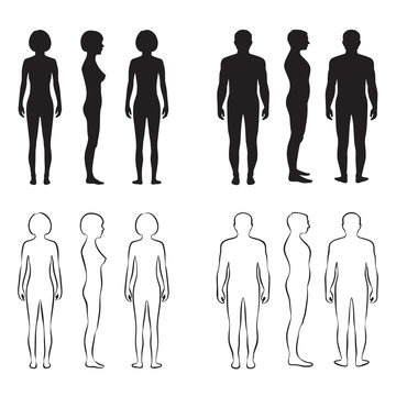 human body anatomy,front vector man, woman silhouette