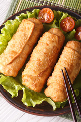 spring rolls fried on a plate macro vertical top view